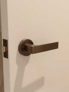 Matching Door Handle