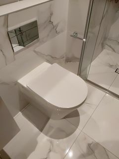 Toilet Seat